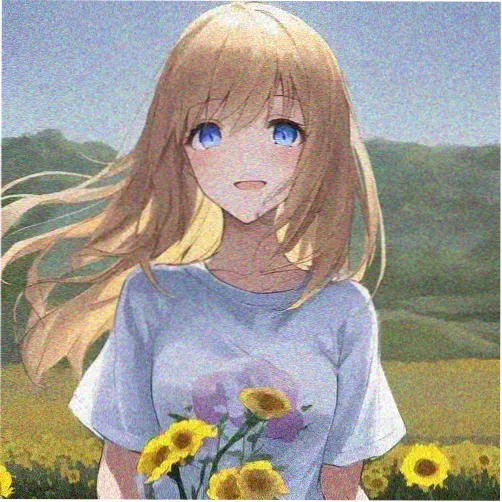 观众阿柚的头像